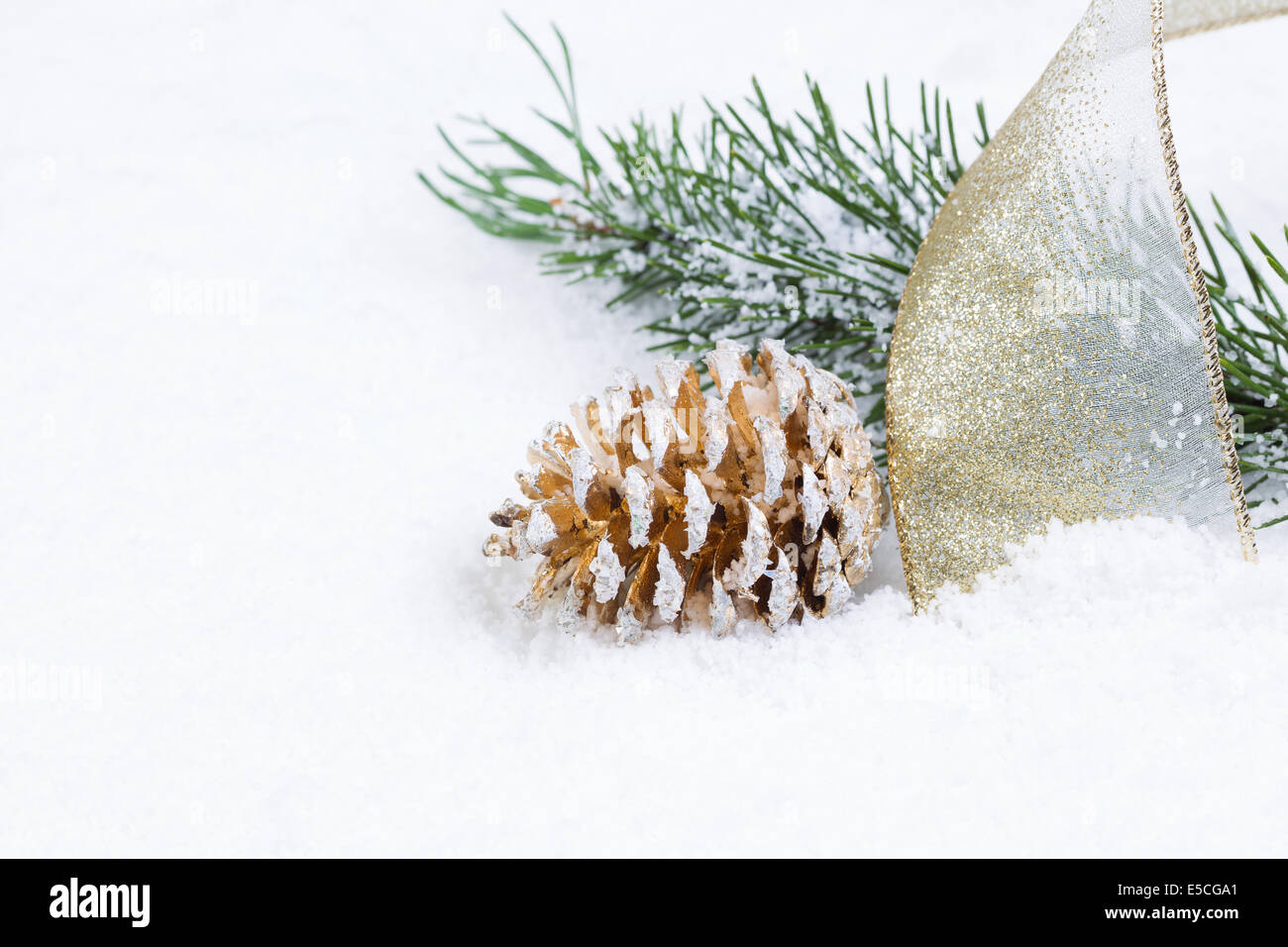 Closeup front view of golden pine cone with gold ribbon and fir branch ...