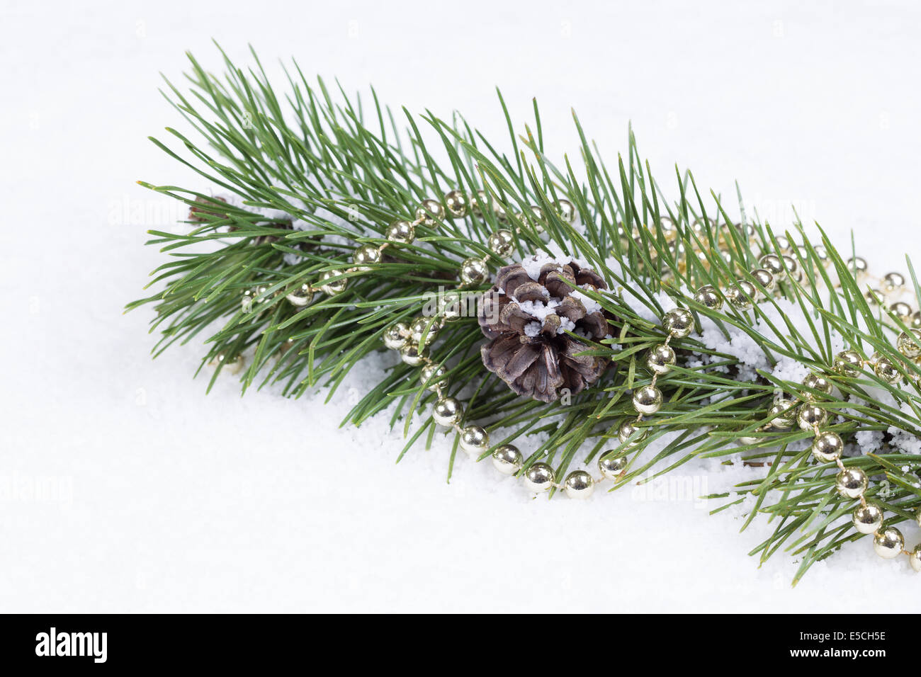 Closeup front view of snow covered fir branch with pine cone and string ...