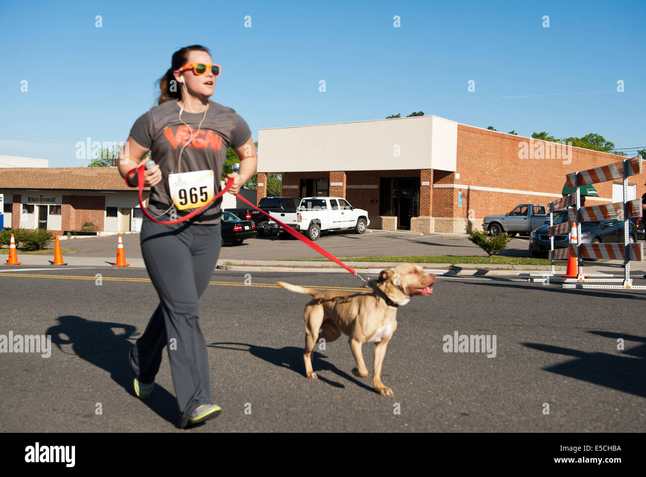 Lady 5k 10k marathon competitor racing toward finish line with dog Stock Photo
