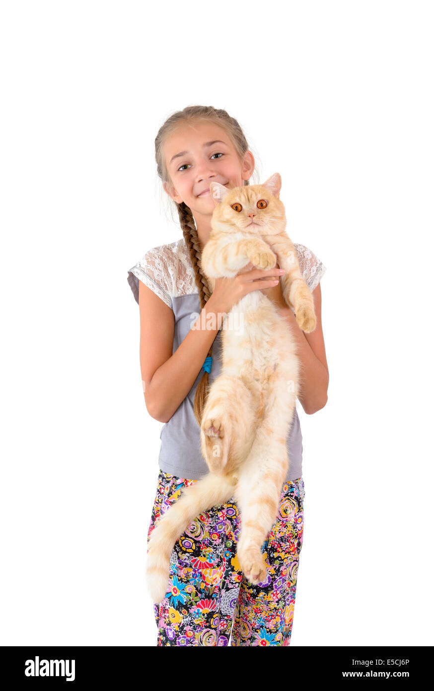 The girl with a red cat of breed Scottish-straight are photographed on the white background Stock Photo