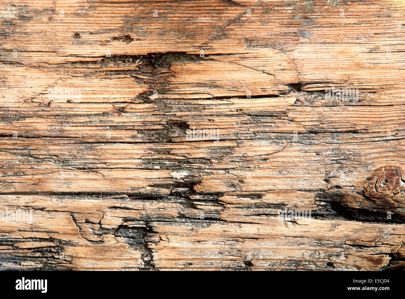 Wooden Texture, Seamless Wood Background, Old Plank Stock Photo - Alamy
