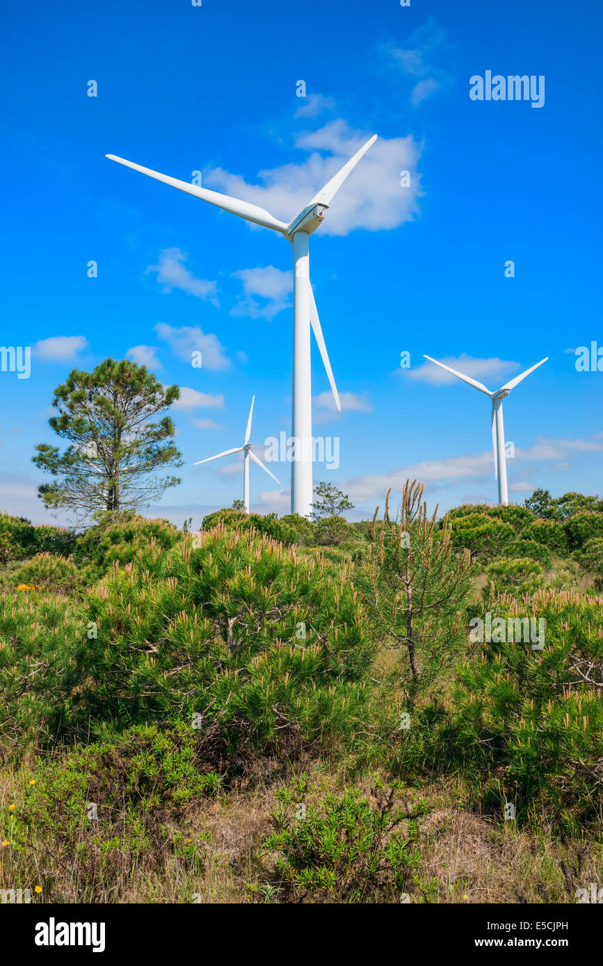 Wind turbines, Western Algarve, Portugal, Europe Stock Photo