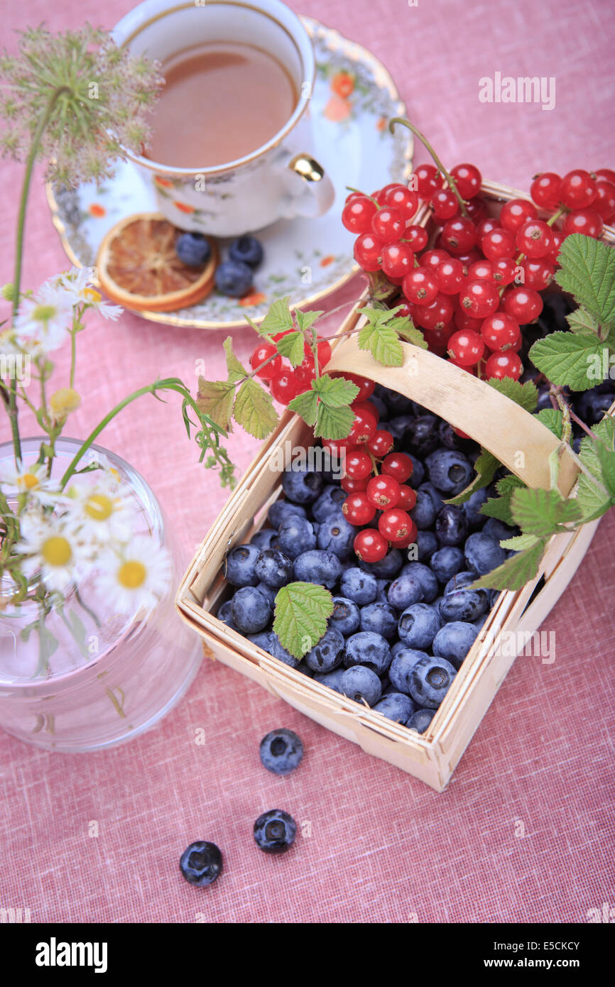 still life with blueberries and red currant on the rural style table