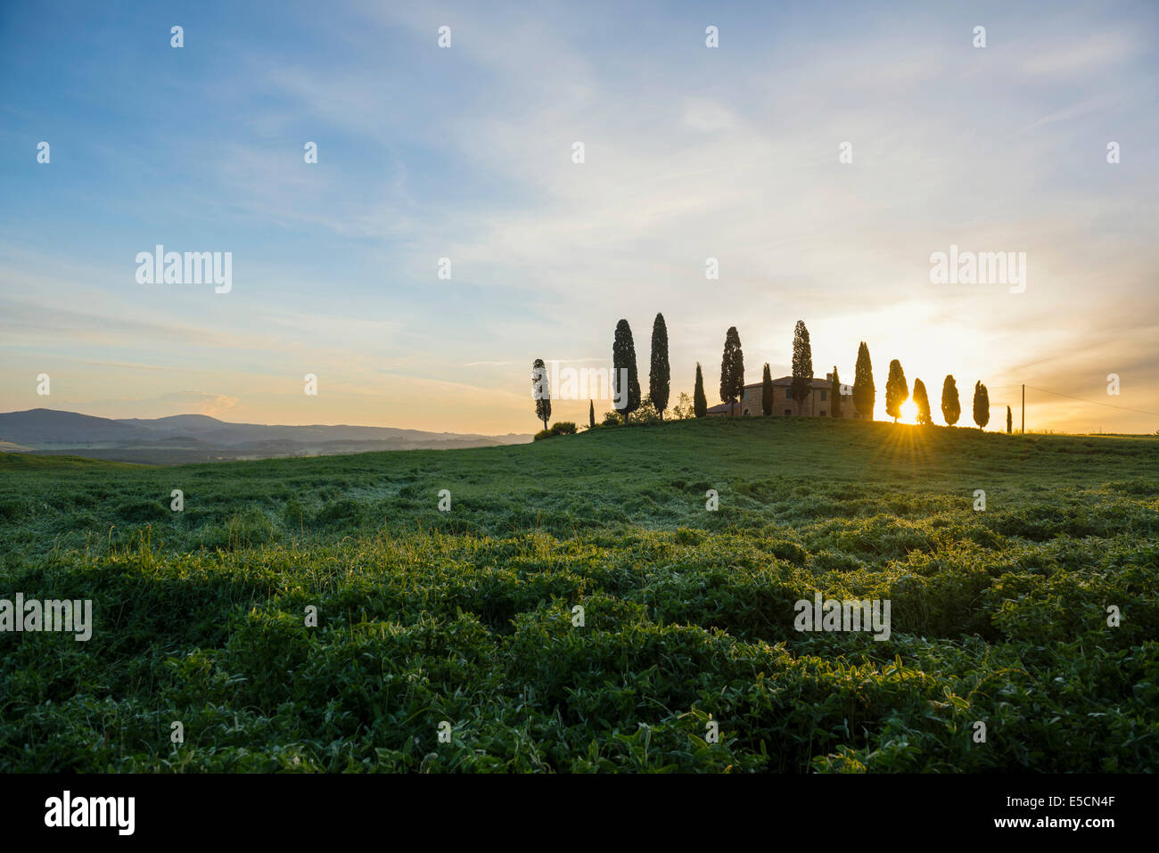 Sunrise landscape with farmhouse and cypress trees near San