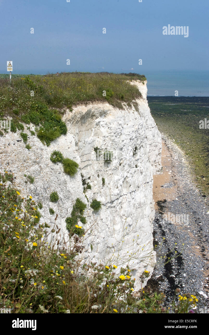 Chalk Cliff over Stone Bay, Broadstairs, Kent, England Stock Photo Alamy