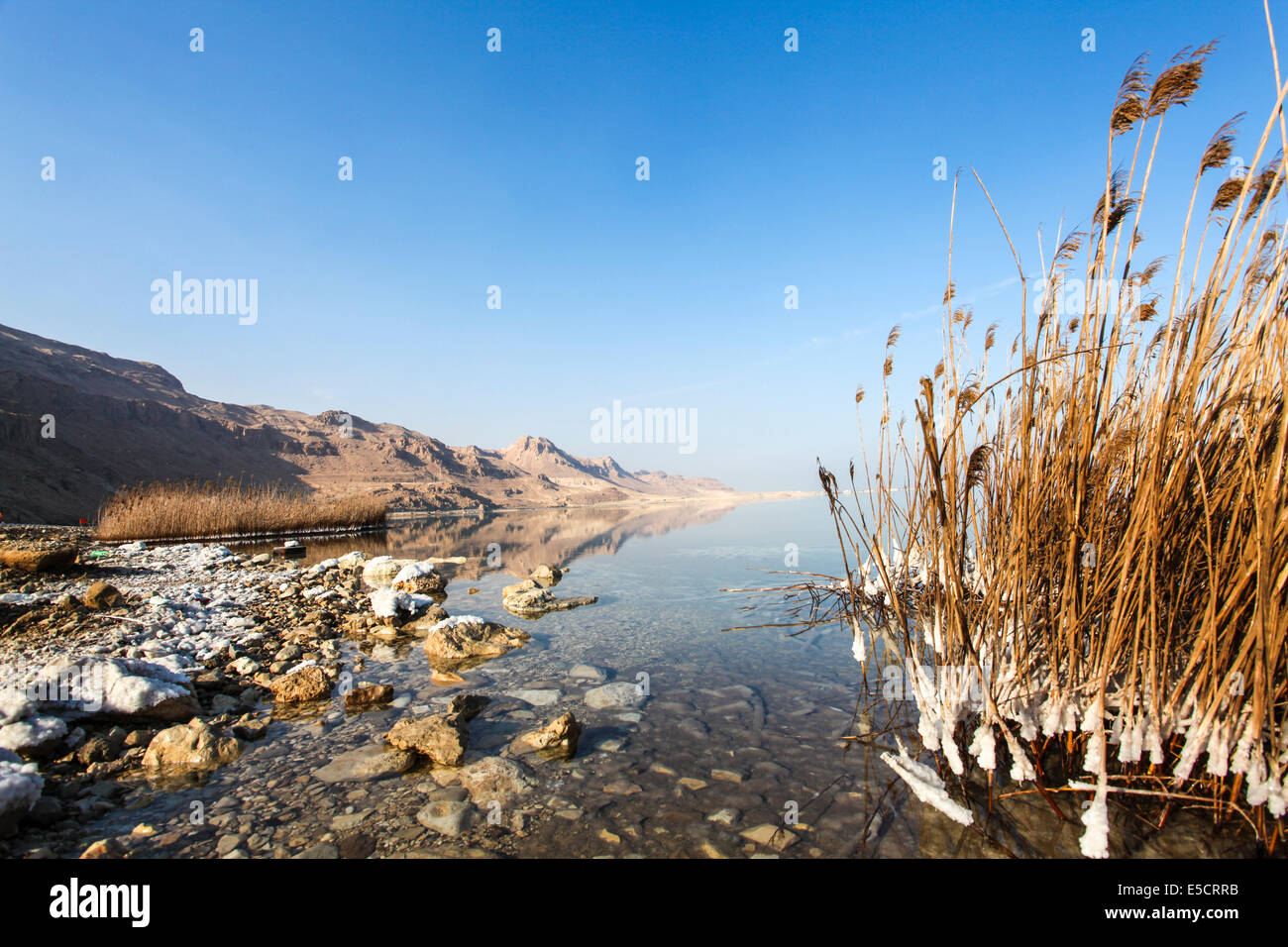Israel, Dead Sea, salt crystalization caused by water evaporation Stock Photo
