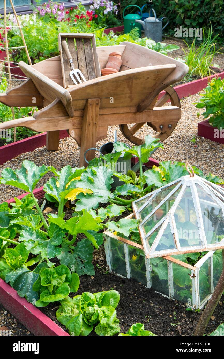 View of small raised bed crops including, courgettes, lettuce and outdoor cucumber in antique cloche, England July. Stock Photo