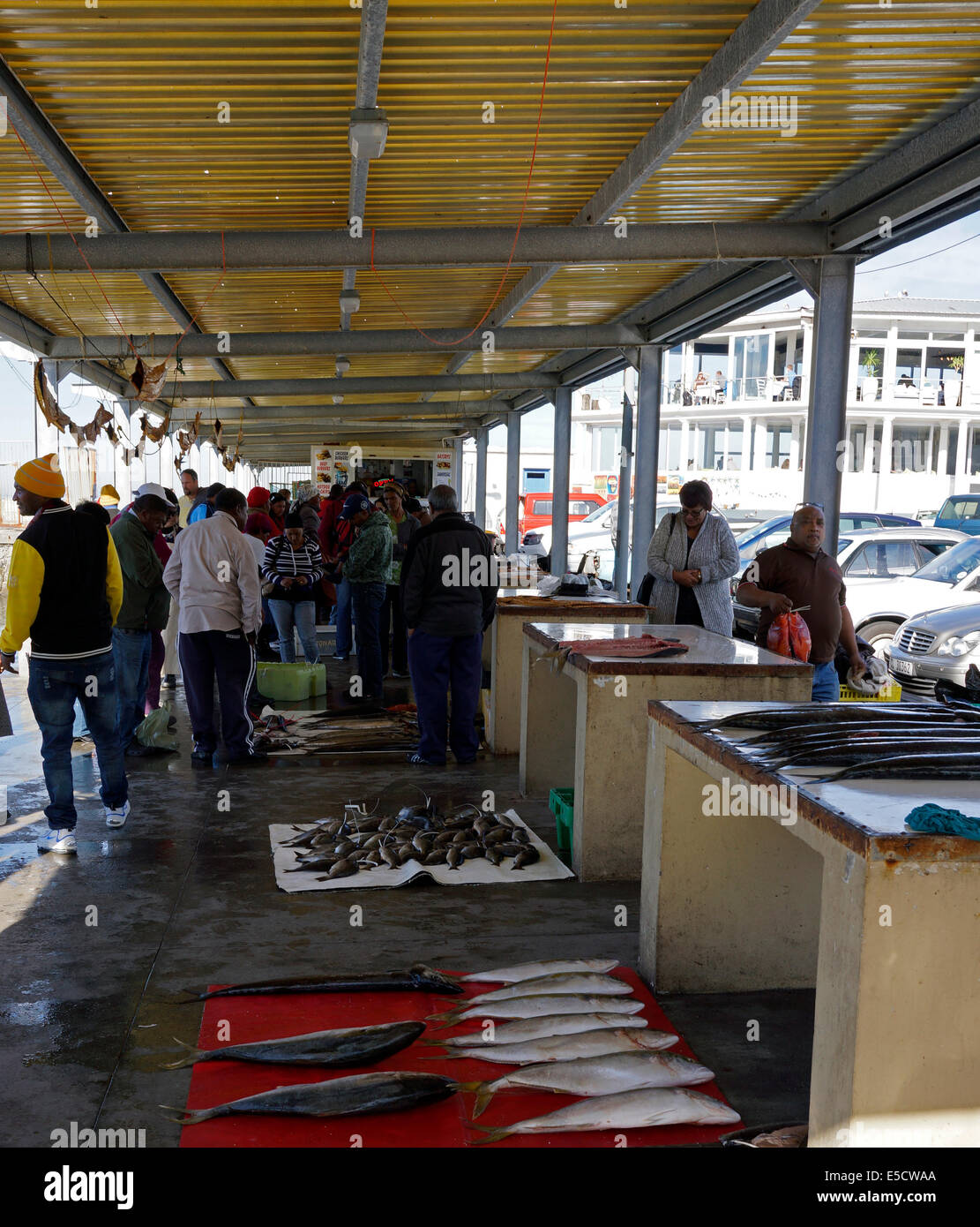 Fresh fish market at the Kalk Bay Harbour near Cape Town, South Africa. Stock Photo