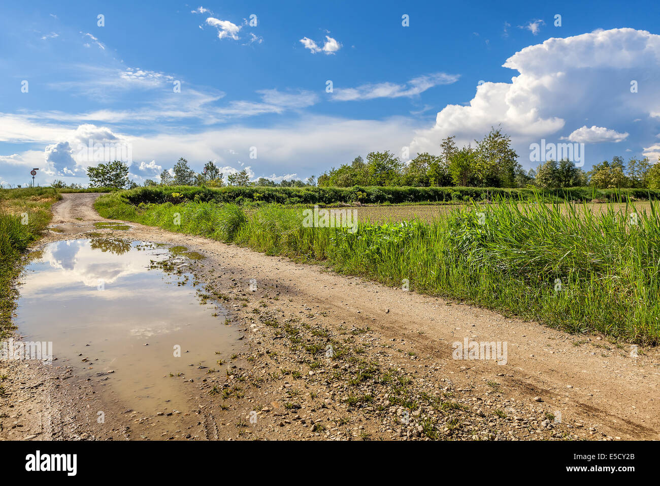 Puddle on rural road under beautiful blue sky with white clouds in ...