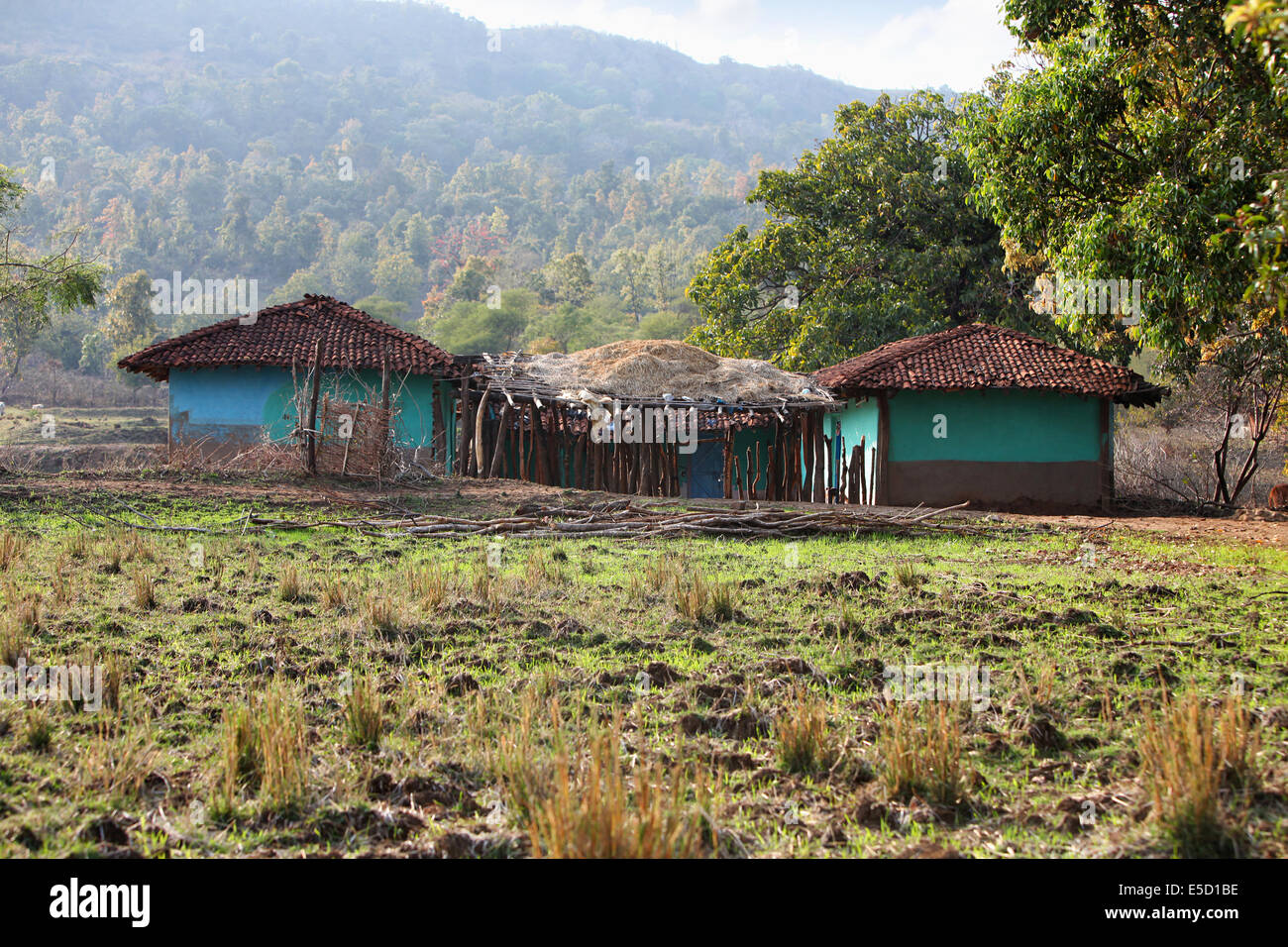 Tribal houses. Baiga tribe, Karangra Village, Chattisgadh, India Stock Photo