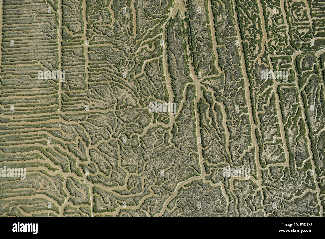 An abstract aerial image of salt marshes on the River Crouch in Essex Stock Photo
