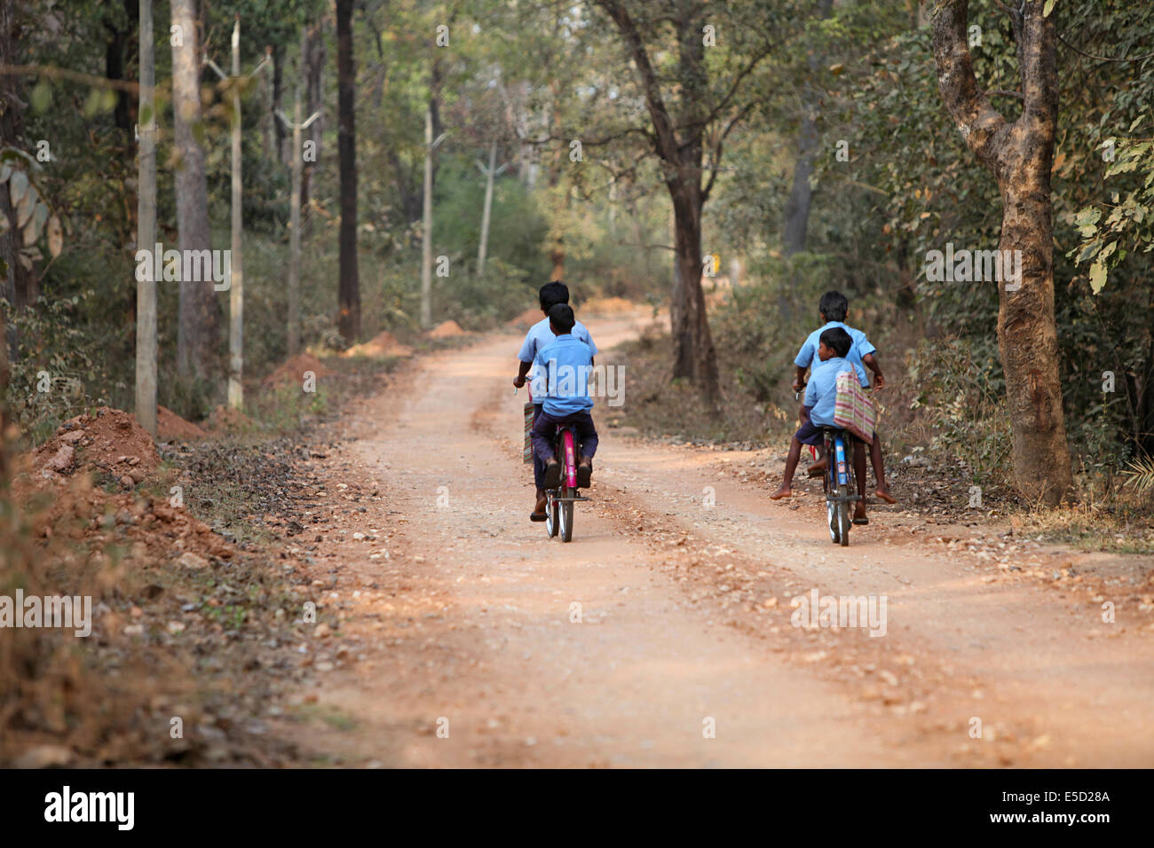 School boys riding bicycle, Pahadi Korba Tribe. Chattisgadh, India Stock Photo