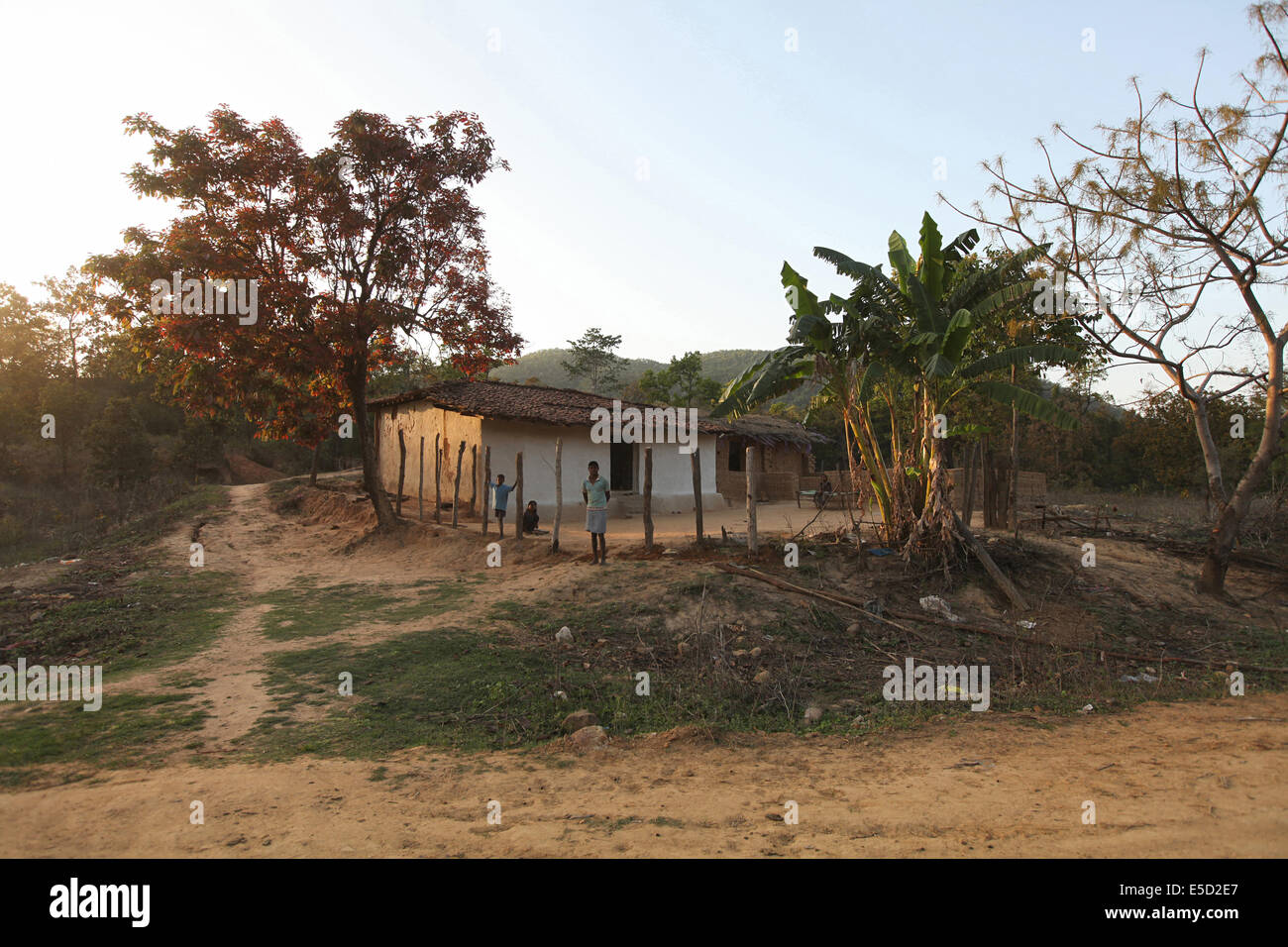 View of a tribal village, Chattisgadh, India Stock Photo