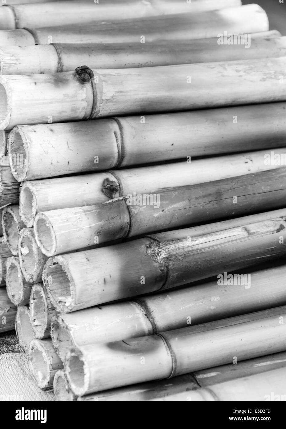 Bamboo joints Black and White Stock Photos & Images - Alamy