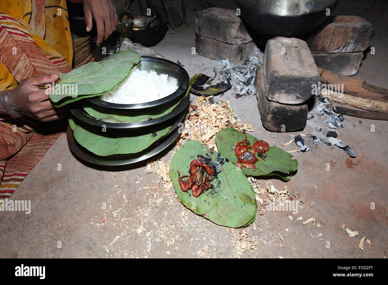 Fish and rice staple food, Chatibahar Village, Chattisgadh, India Stock Photo