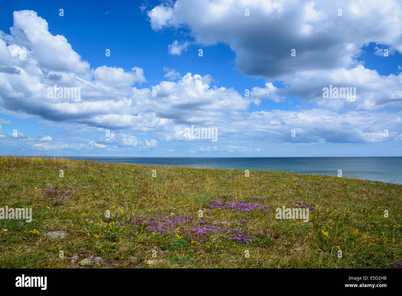 Curved heath and clouds. Haväng, Simrishamn, south Sweden in June. Stock Photo