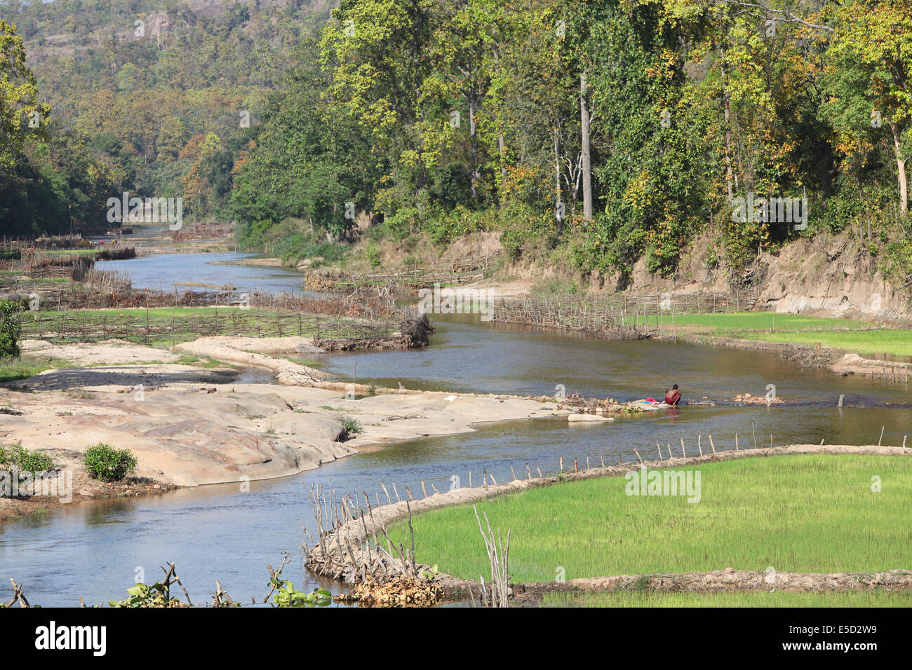 Landscape with still water and forest, Chattisgadh, India Stock Photo