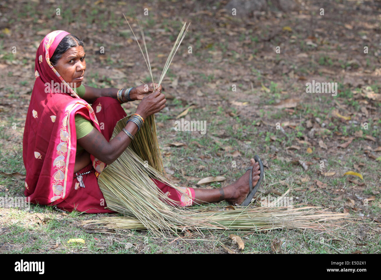 Tribal woman making a broom, Gond tribe, Rupandand Village, Chattisgadh, India Stock Photo