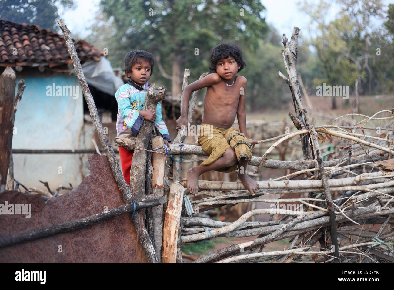 Tribal children sitting on a fence, Baiga tribe, Chattisgadh, India Stock Photo