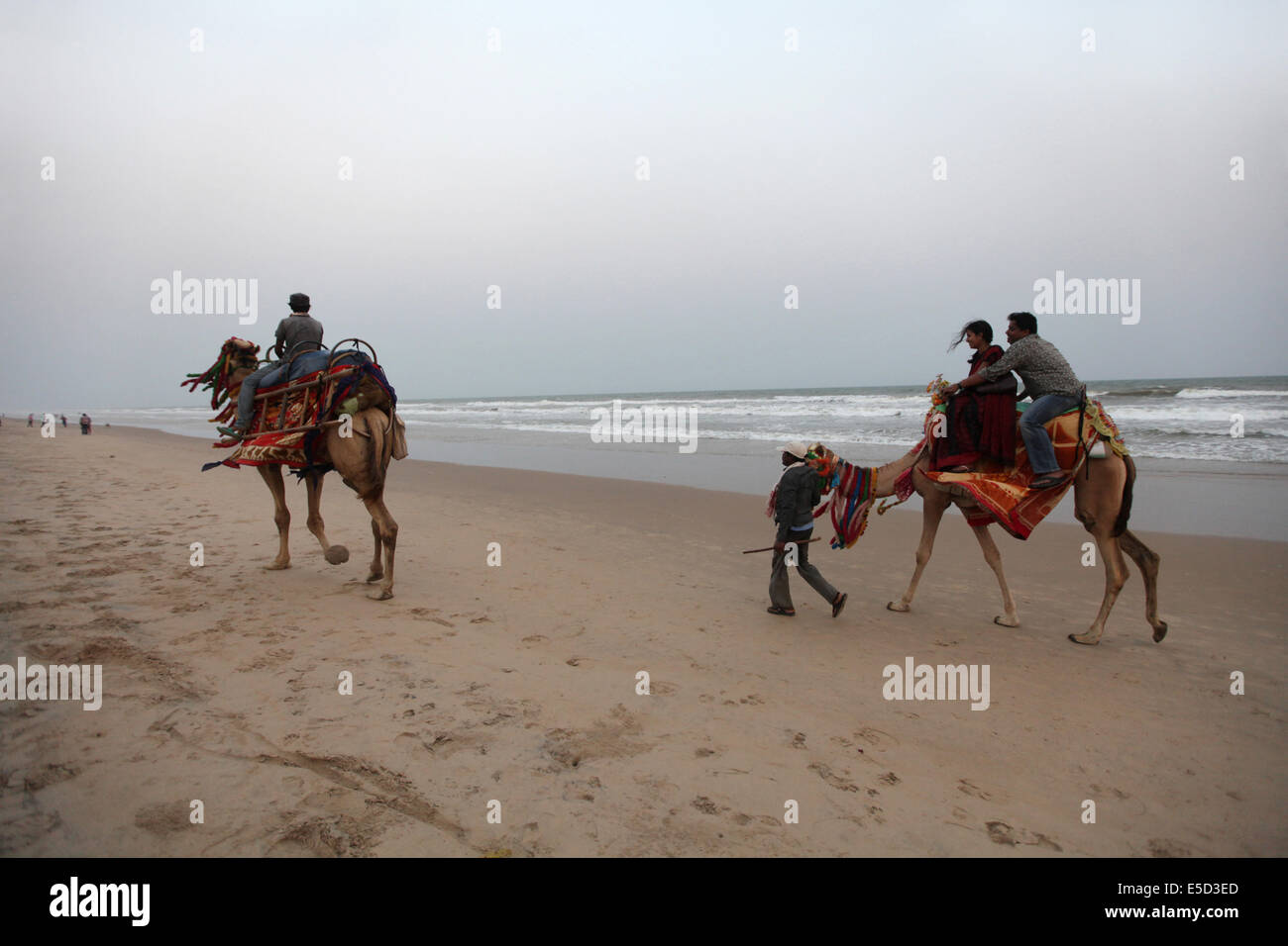 Camel ride on the beach hi-res stock photography and images - Alamy