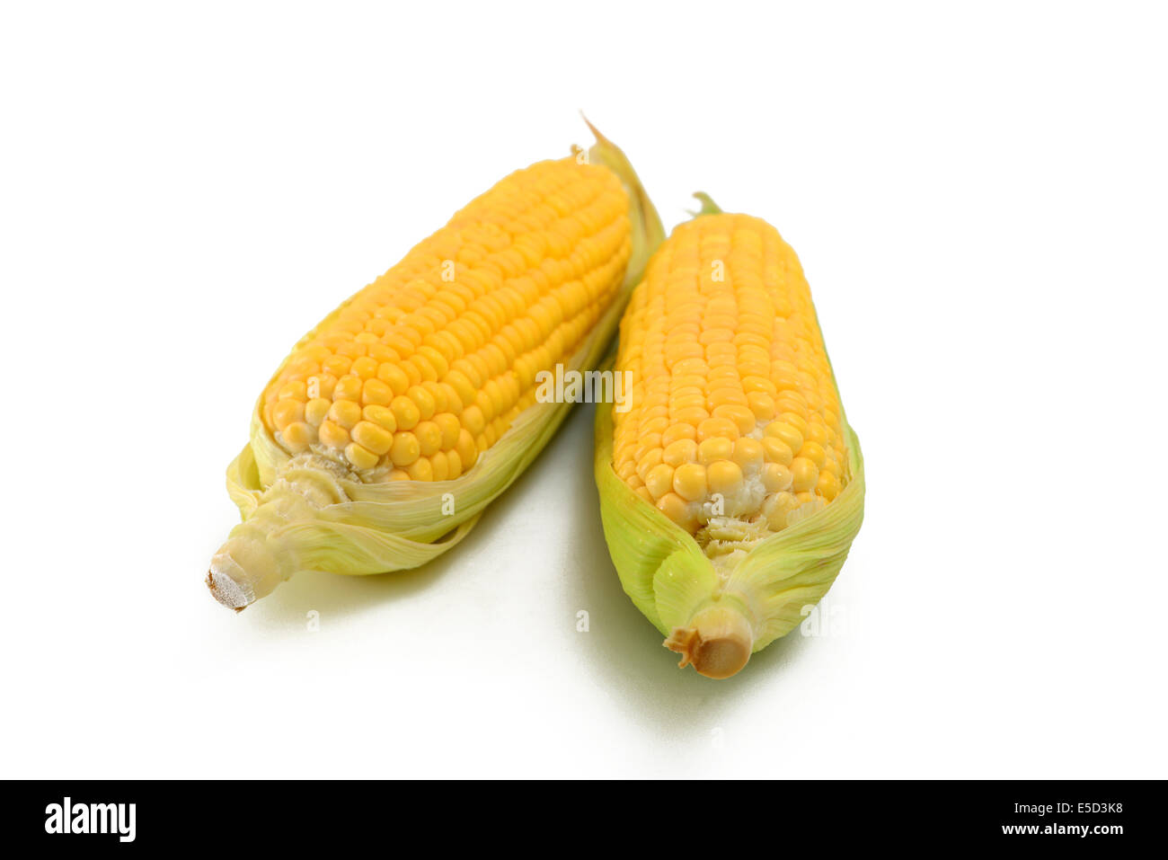 Corn isolated on white Stock Photo - Alamy