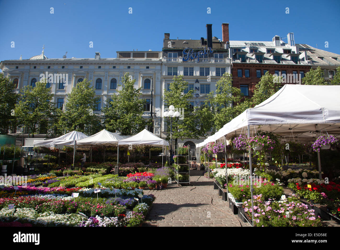 Oslo Flower Market, Stortorvet Square, Oslo, Norway Stock Photo Alamy