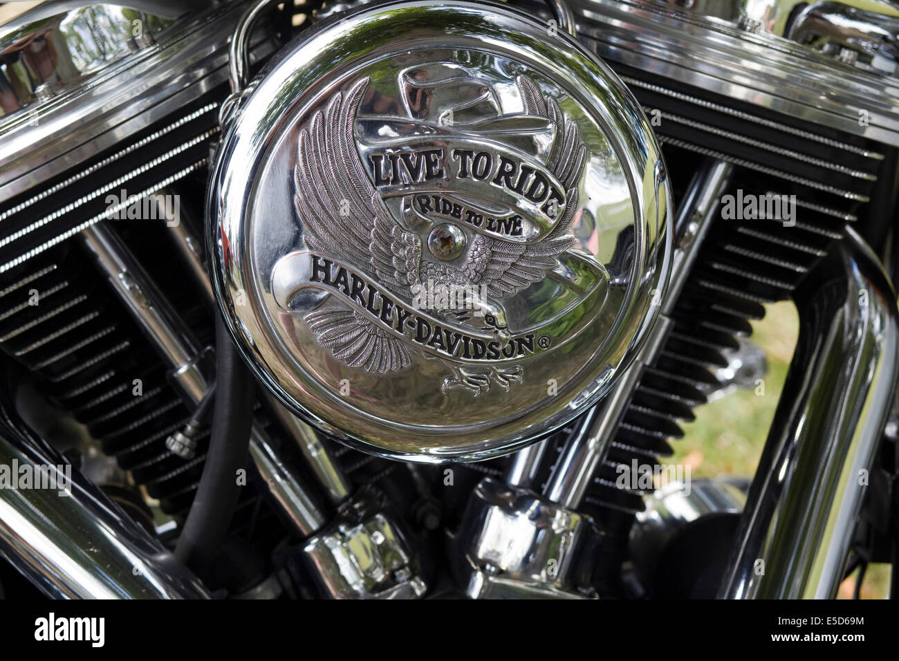 Harley Davidson motorcycle vtwin engine with 'live to ride' custom