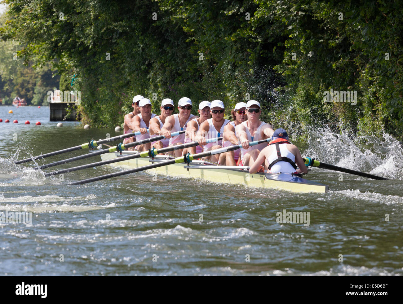 rowers eight working as a team on the river. They need teamwork power energy to achieve success. Stock Photo