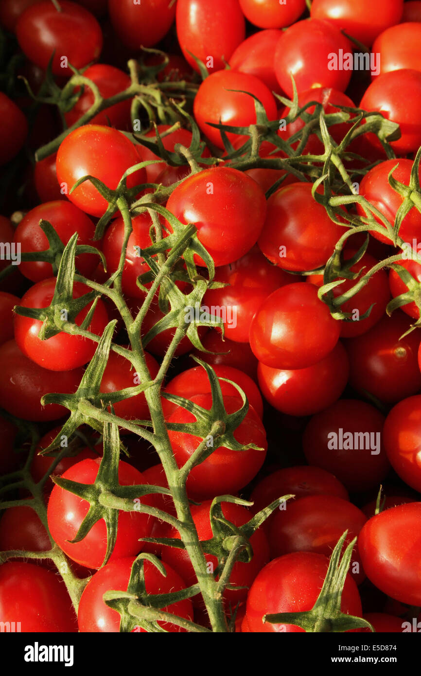 Bright red tomatoes on the vine abstract Stock Photo - Alamy