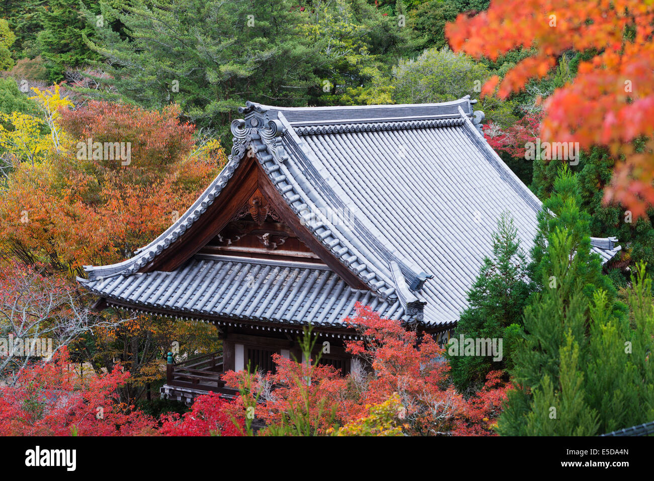 Asia, Japan, Honshu, Hiroshima prefecture, Miyajima Island, temple building, Daisho-in Stock Photo