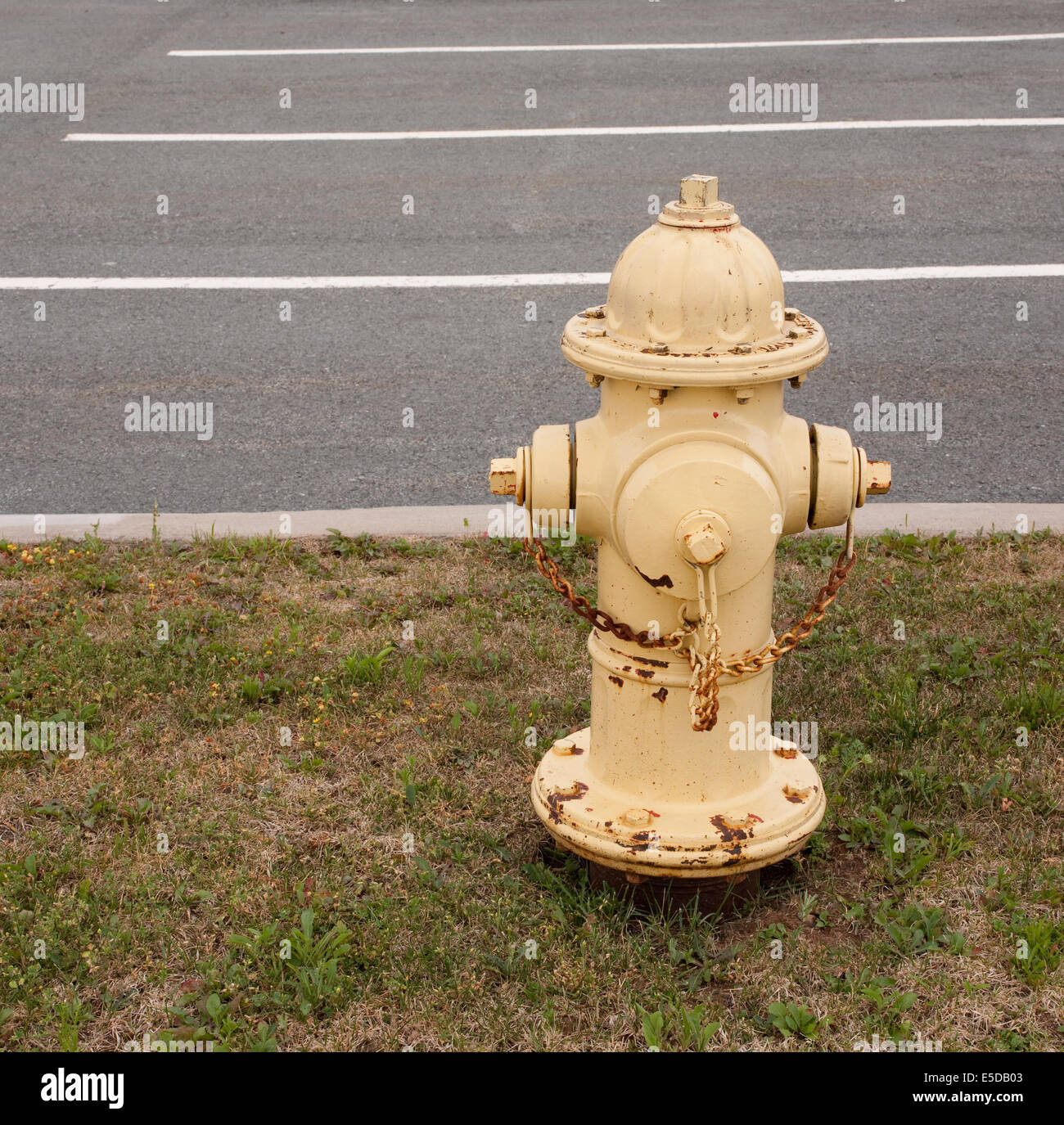 Yellow fire hydrant beside parking spaces Stock Photo Alamy