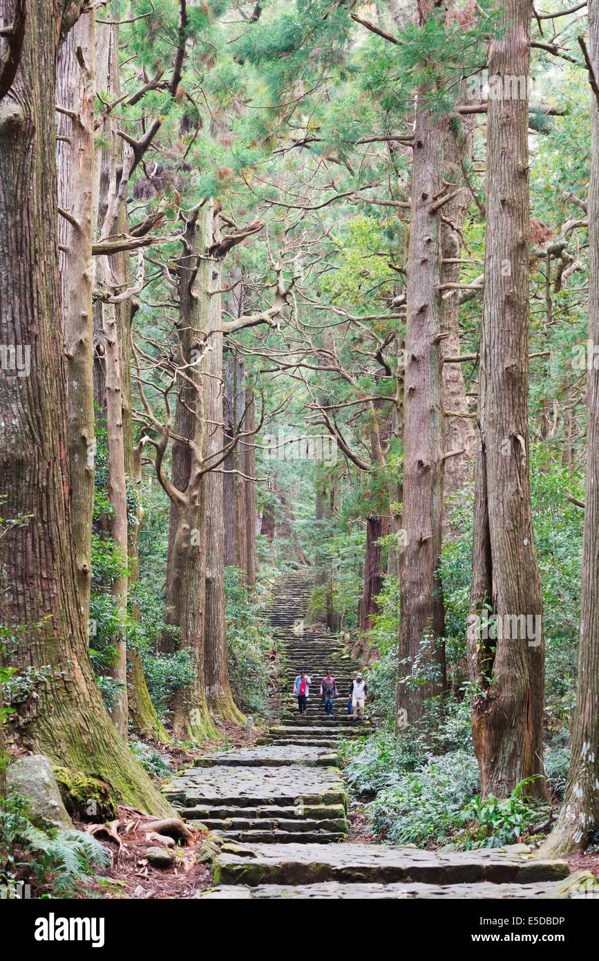 Asia; Japan; Honshu; Wakayama prefecture; pilgrims on Daimon-zaka Nachi tokaido pilgrimage route; Unesco site Stock Photo