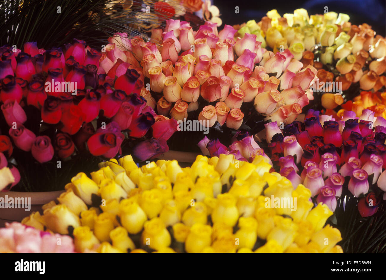France, the Atlantic coast, wooden roses for sale in the market at La Tranche. Stock Photo