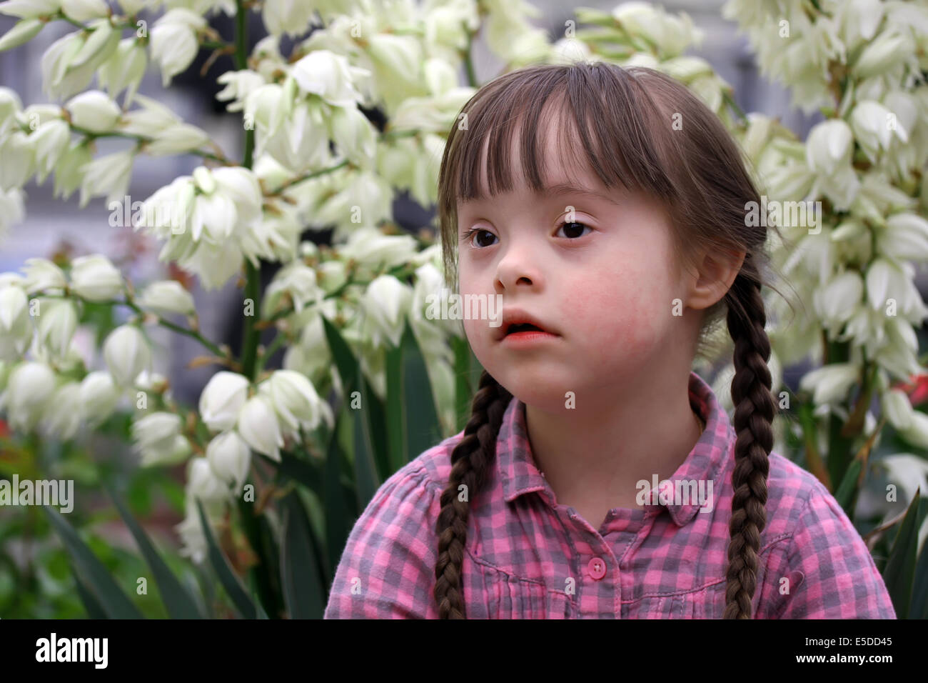 Portrait of beautiful young girl in the park Stock Photo - Alamy