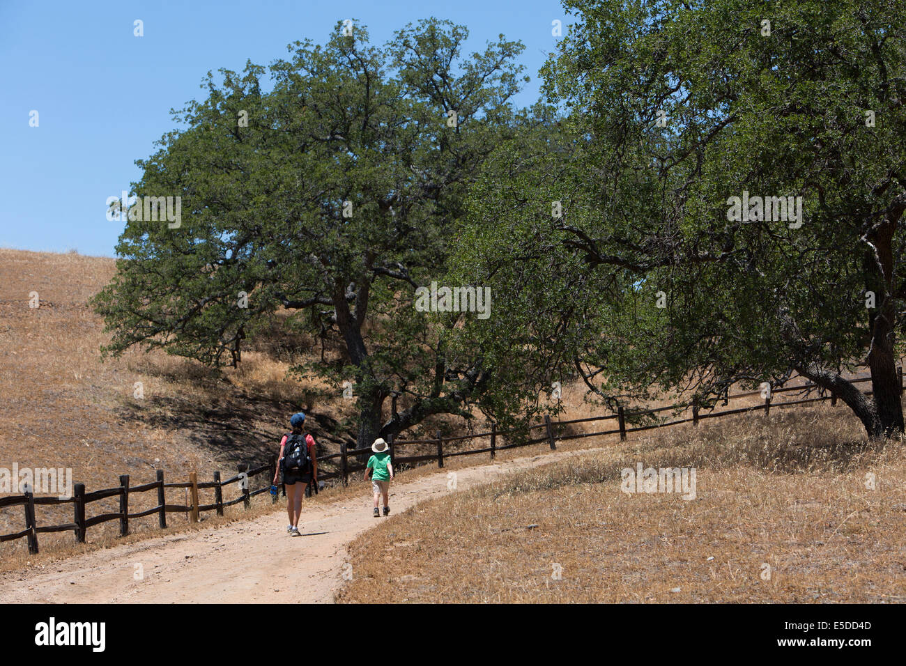 Mother and Young Son Hiking in Santa Ysabel Open Space Preserve, California Stock Photo