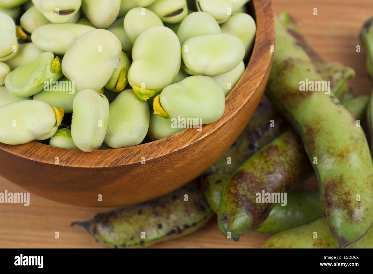 Broad beans, Mature, Ripe Fava Bean Stock Photo