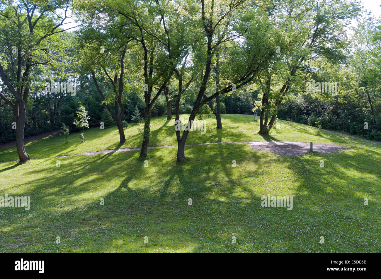 Garlough Park hillock and trees within border of frisbee golf course in