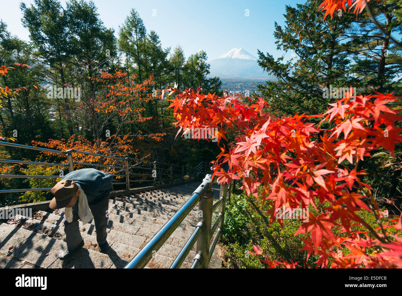 Asia, Japan, Honshu, Mt Fuji 3776m, autumn colours, Unesco World Heritage site Stock Photo