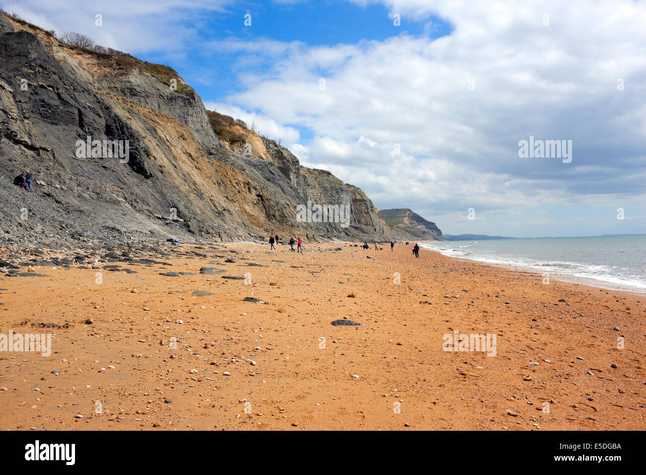 Charmouth beach and cliffs, Dorset UK Stock Photo