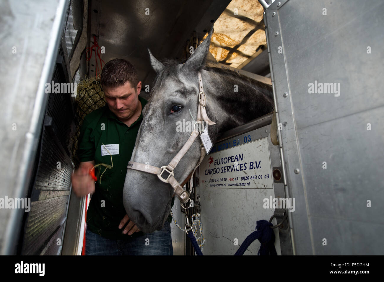 Horse transport plane hires stock photography and images Alamy