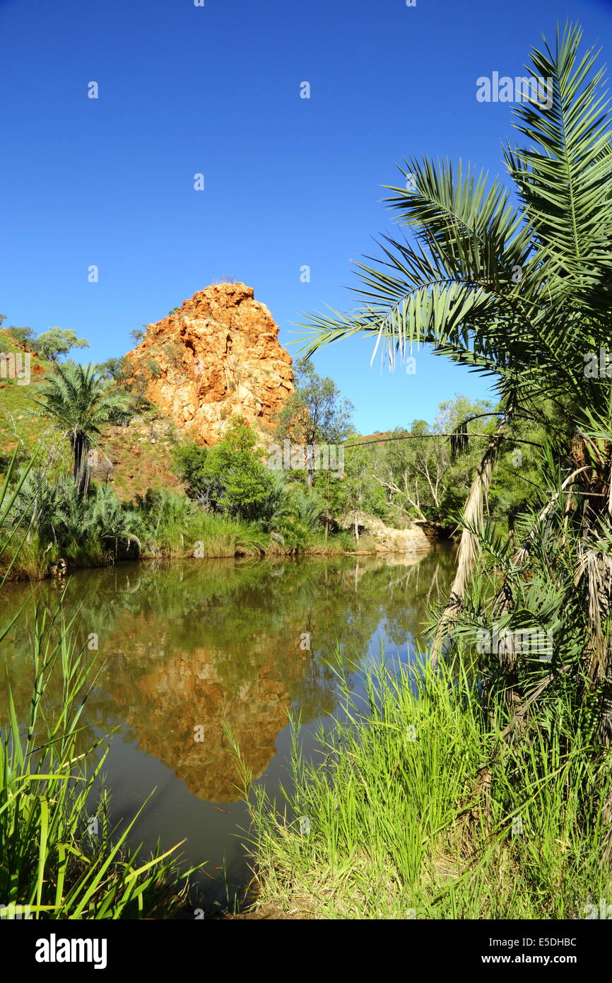 Palm Springs, near Halls Creek in the Kimberley region of Western Australia - a delightful place to take a refreshing swim. Stock Photo