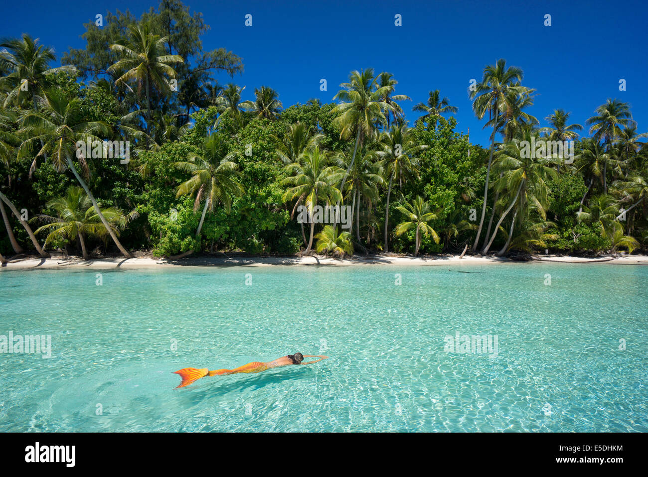 Palau, young woman in mermaid costume swimming in a lagoon Stock Photo