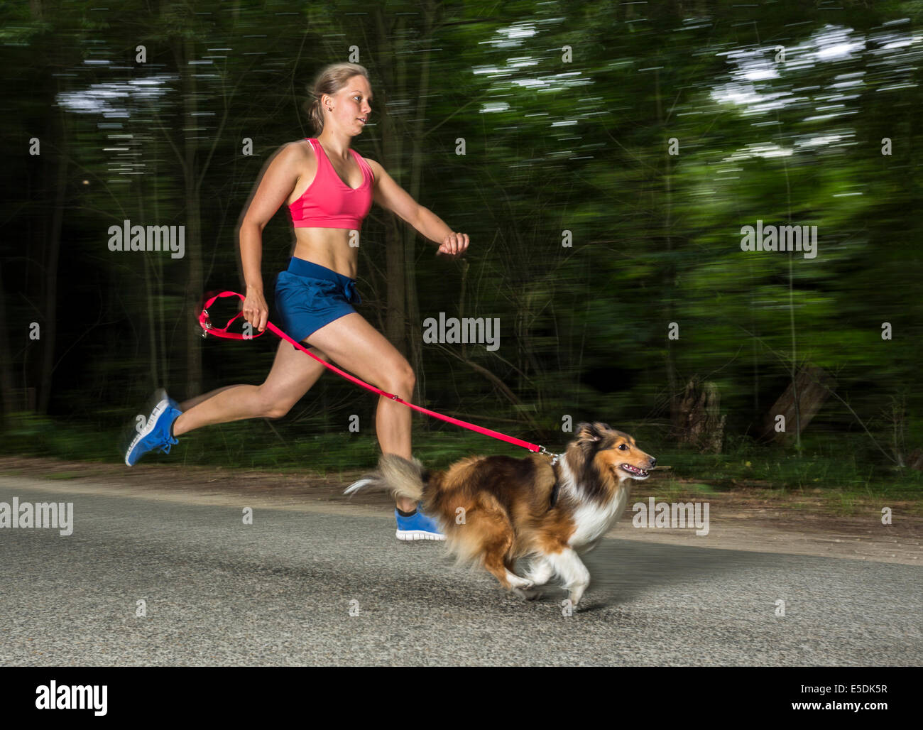 Young woman jogging with dog on road Stock Photo Alamy