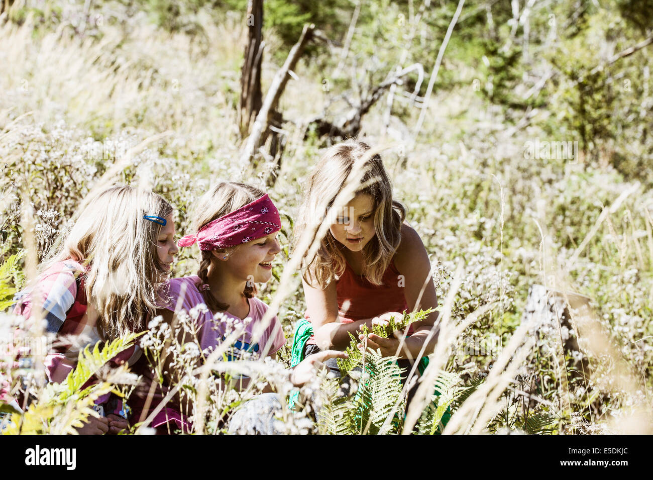 Three girls exploring the nature Stock Photo