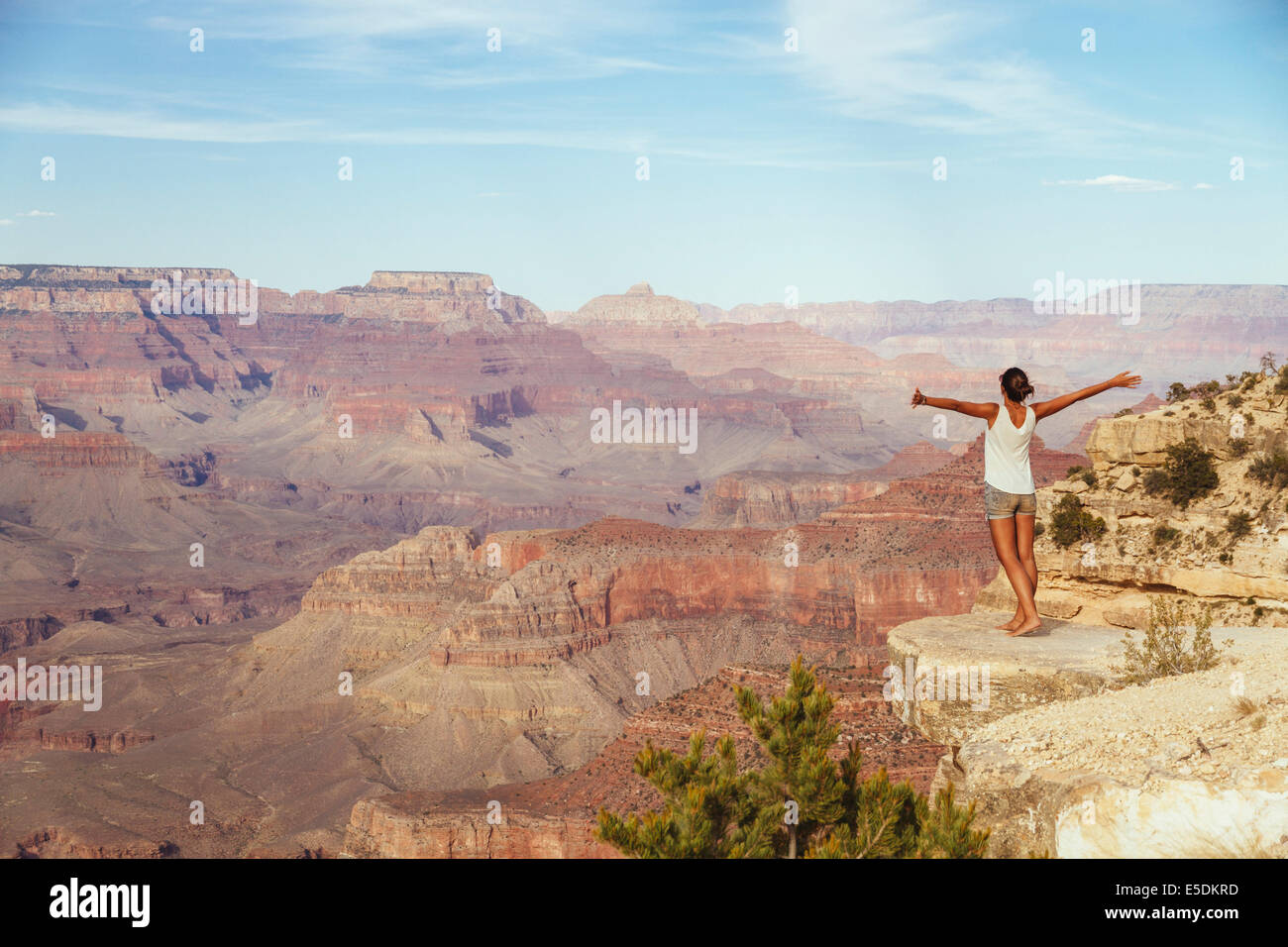USA, Arizona, woman enjoying the view at Grand Canyon, back view Stock ...
