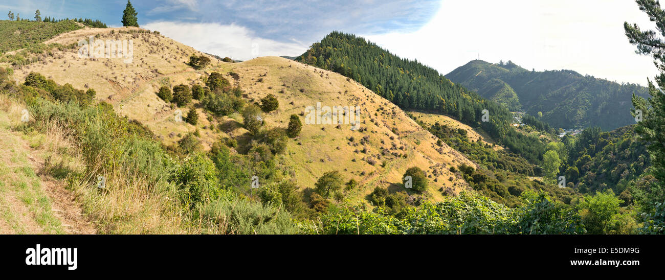 New Zealand, Nelson, hilly scenery with shrubland and forests Stock Photo
