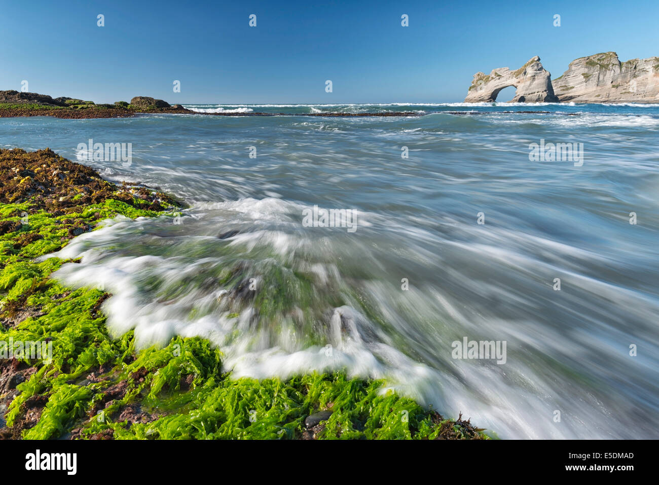 New Zealand, Golden Bay, Wharariki Beach, waves gushing over rocks with seaweed at the beach and rock arch in the background Stock Photo