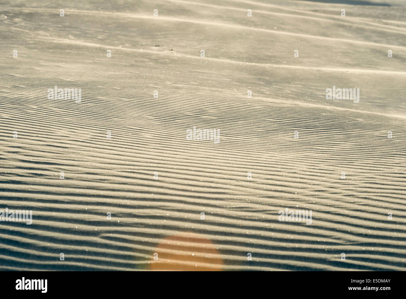 New Zealand, Golden Bay, Wharariki Beach, wind patterns and reflections in a sand dune Stock Photo
