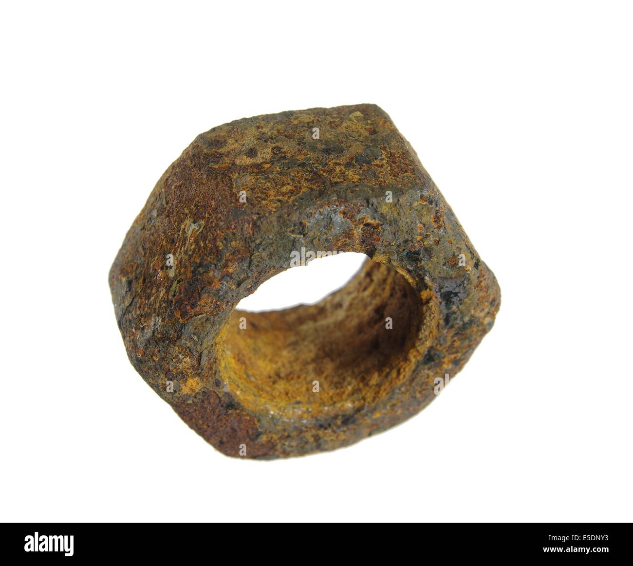 old nut on white background Stock Photo Alamy