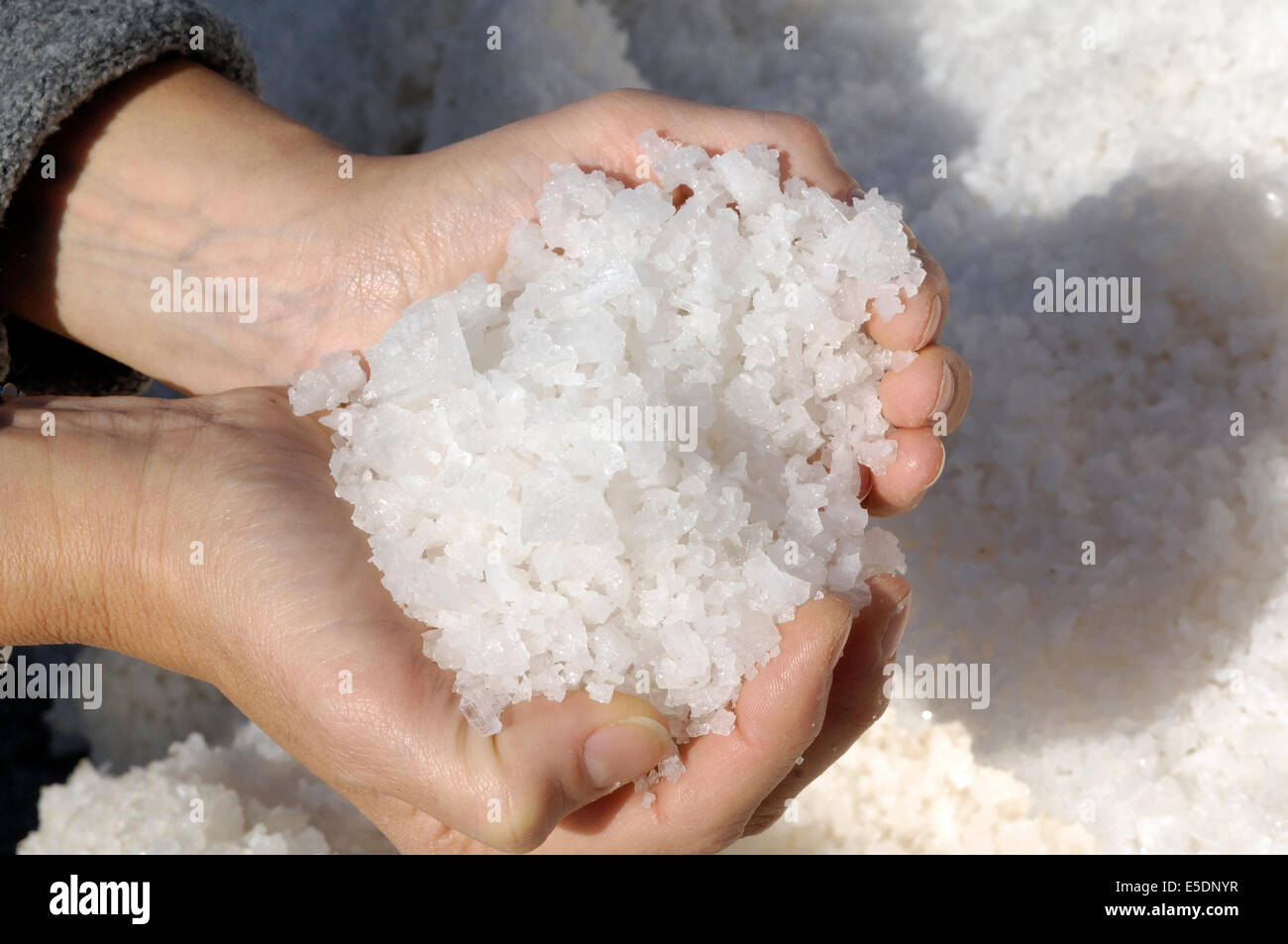 hands full of sea salt, Trapani, Sicily Stock Photo